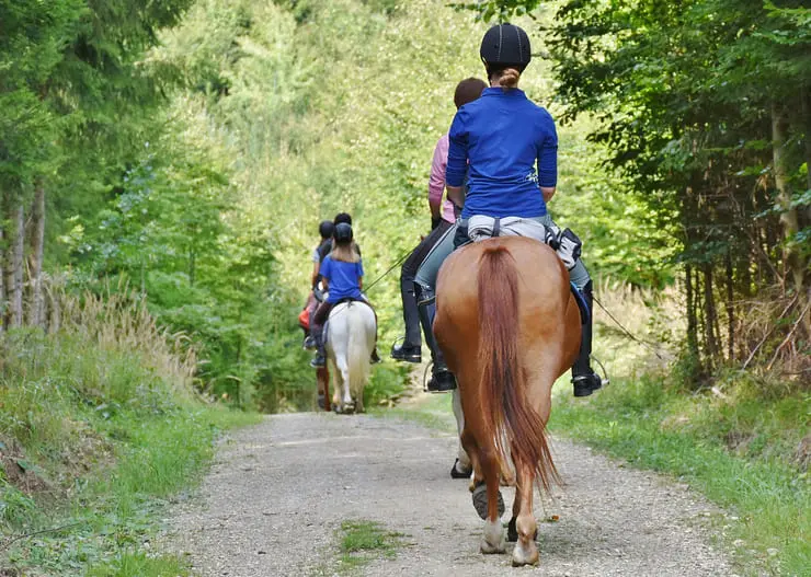 horse-riding-in-stevenage