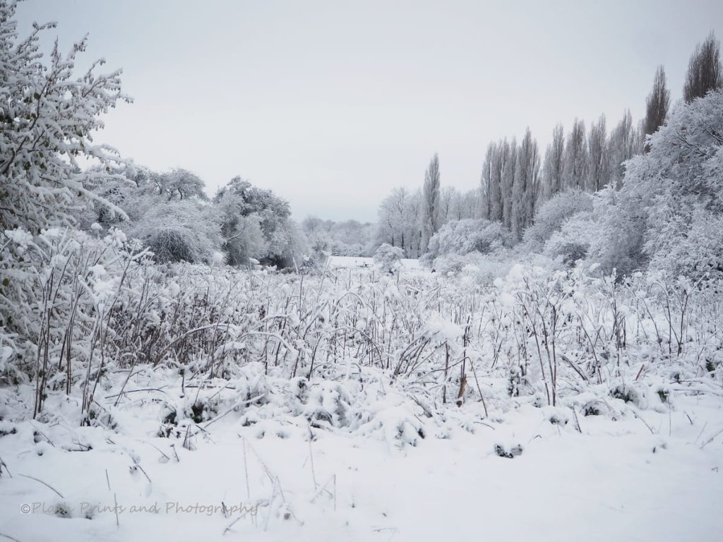 stevenage snow 17-plash-photography